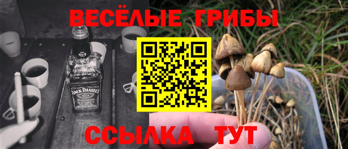 Псилоцибиновые грибы GOLDEN TEACHER Одинцово