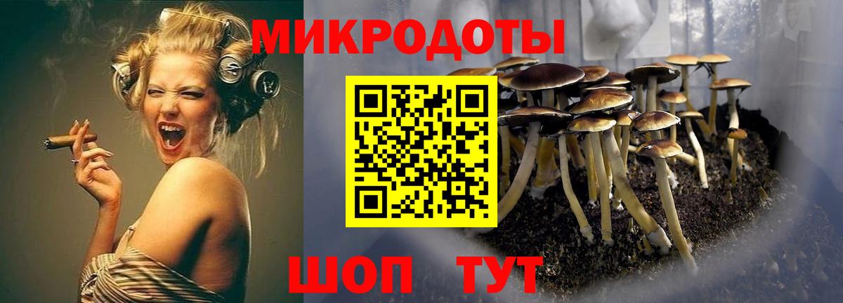 Псилоцибиновые грибы Cubensis  Вход с VPN  Одинцово 